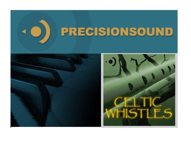 Celtic Whistles MULTiFORMAT