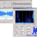 DSSF3 v5.2.0.17 Inc. Emulator WiN-R2R