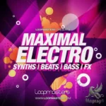 Maximal Electro MULTiFORMAT DVDR-DYNAMiCS Maximal Electro Team DYNAMiCS | November 2011 | 1.74 GB Maximal Electro...