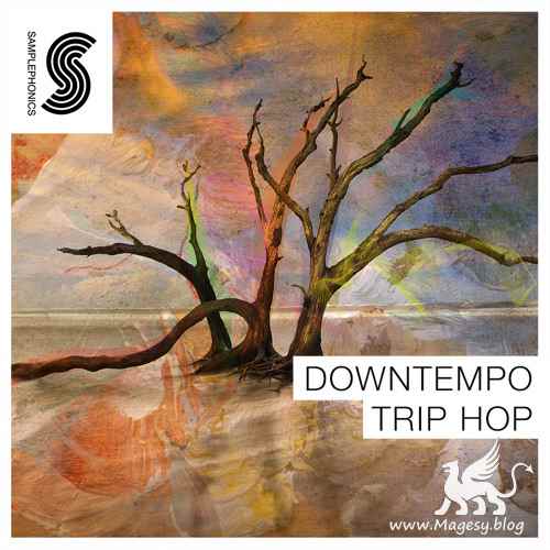 Downtempo Trip Hop MULTiFORMAT