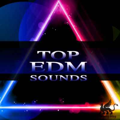 Top EDM Sounds Sylenth1 Presets-MAGNETRiXX