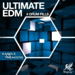 Ultimate EDM Drum Fills Team MAGNETRiXX | 12 August 2014 | 123...