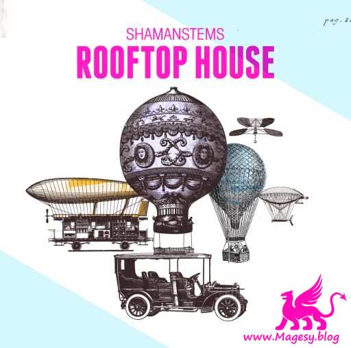 Shaman stems_rooftop_house