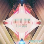 Ambient Drums And One Shots WAV REX-DiSCOVER