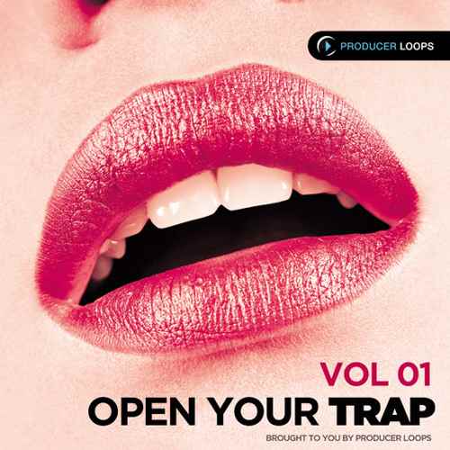 Open Your Trap Vol.1 ACiD WAV MiDi-MAGNETRiXX