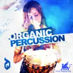 Organic Percussion WAV REX-AUDiOSTRiKE