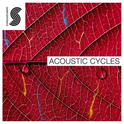 Acoustic Cycles MULTiFORMAT-AUDiOSTRiKE-MaGeSY