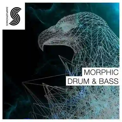 Morphic Drum And Bass MULTiFORMAT-FANTASTiC