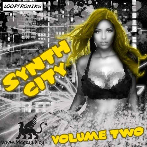 Synth City Vol.2 ACiD WAV-KRock_1