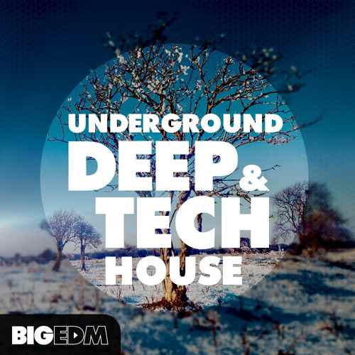 Underground Deep And Tech House MULTiFORMAT