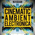 Cinematic Ambient and Electronica MULTiFORMAT