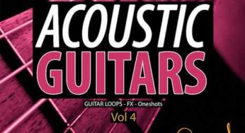 Acoustic Guitars 4 WAV-DiSCOVER