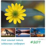 Nature Widescreen Wallpapers #207 57 JPG | 1920×1200-2560×1600 | 104,73 MB P2P...
