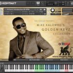 Golden Keyz WAV KONTAKT WiN MAC-FANTASTiC