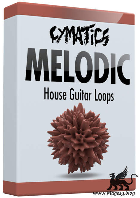 Melodic House Guitar Loops WAV