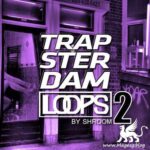 Trapsterdam Loops 2 WAV DiSCOVER | November 29 2016 | 227 MB...