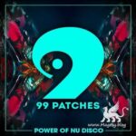 Power Of Nu Disco WAV MiDi SYLENTH1-DiSCOVER
