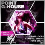 Point G-House WAV MiDi MASSiVE SYLENTH1-DiSCOVER