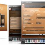 Irish Low Whistle KONTAKT