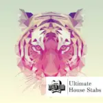 Ultimate House Stabs WAV