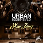 Urban Essentials: Slow Jamz MULTiFORMAT
