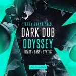 Dark Dub Odyssey WAV REX-FANTASTiC