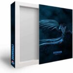 Ascension Loop Kit WAV MiDi