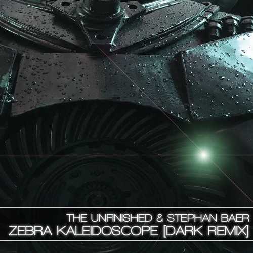 Zebra Kaleidoscope + Dark Remix For ZEBRA 2-DiSCOVER