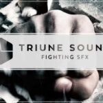Fighting SFX Bundle WAV