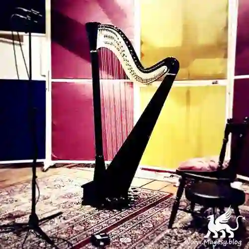 Rachael Gladwin Harp Wav Magesy