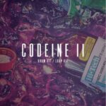 Codeine II WAV TEAM MAGNETRiXX | 11 April 2018 | 83 MB...
