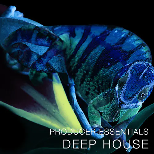 Producer Essentials Deep House WAV MiDi Synth Presets-MaGeSY