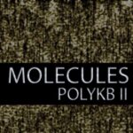 Molecules for PolyKB II P2P | 02.08.2018 | 27.92 KB 75 Presets...