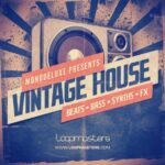 Vintage House MULTiFORMAT-P2P