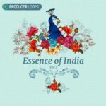 Essence of India Vol.1 ACiD WAV