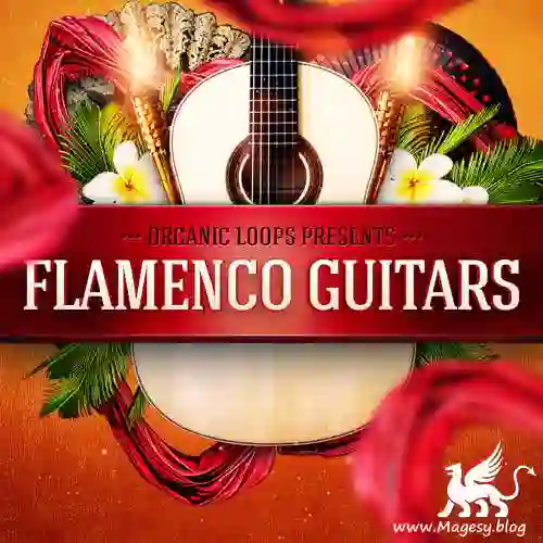 Flamenco Guitars Wav Rex Fantastic Magesy