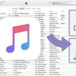 Apple Music Converter v2.10.4 MAC TNT | 04 December 2018 | 68.78...