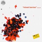 Mixed Berries Drum Kit WAV