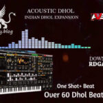 Acoustic Dhol AVENGER TALULA | 20.02.2020 | 67 MB ..:: Avenger Expansion...