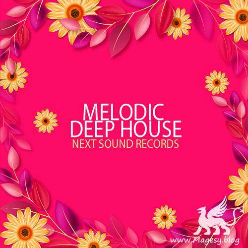 Melodic Deep House MULTiFORMAT