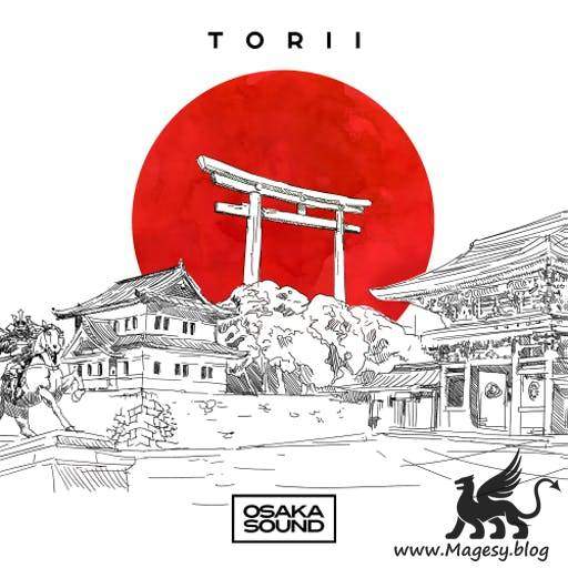 Torii Lo-Fi Beats WAV-DiSCOVER