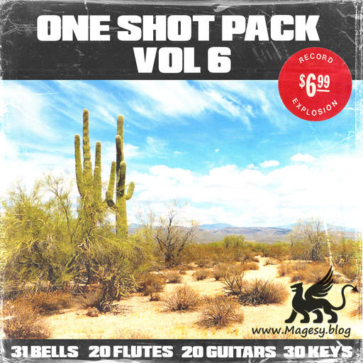 100+ One Shot Pack Vol.6 WAV