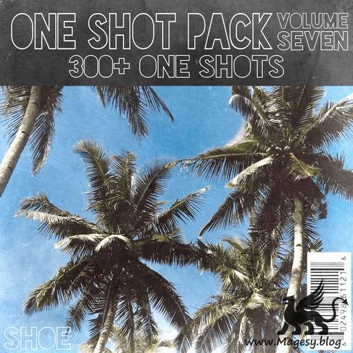 300+ One Shot Pack Vol.7 WAV