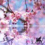 Arizona Drum Kit FANTASTiC | 04 May 2020 | 56 MB this...