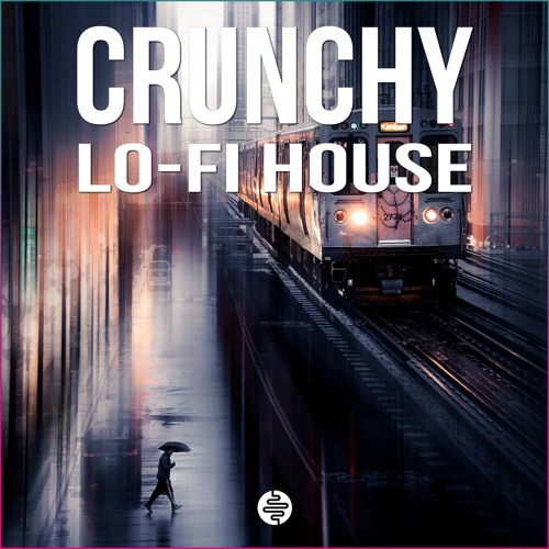 Crunchy Lo-Fi House WAV-DiSCOVER