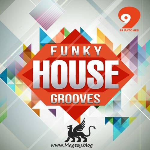 Funky House Grooves WAV