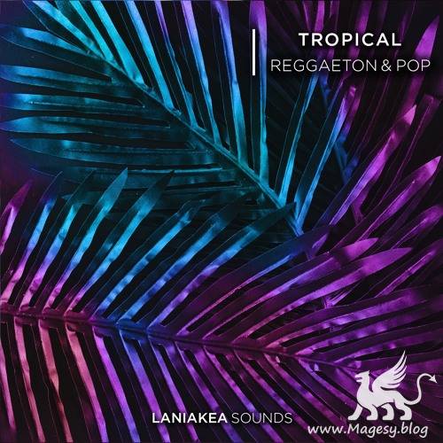 Tropical Reggaeton And Pop WAV-DiSCOVER