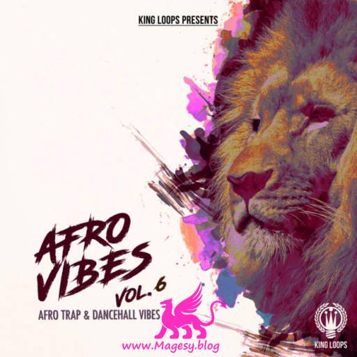 Afro Vibes Vol.6 WAV MiDi-DiSCOVER