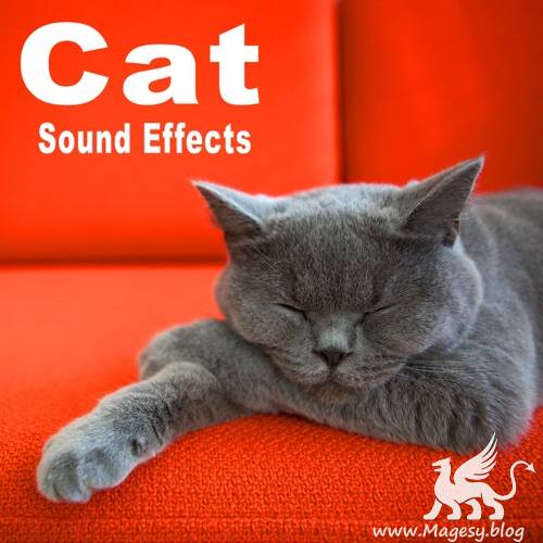 Cat Sound Effects FLAC