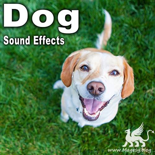 Dog Sound Effects FLAC